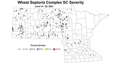 wheatSeptoriaComplexSeverity 6.14 6.25