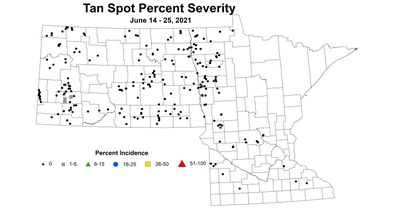 wheatTanSpotSeverity 6.14 6.25