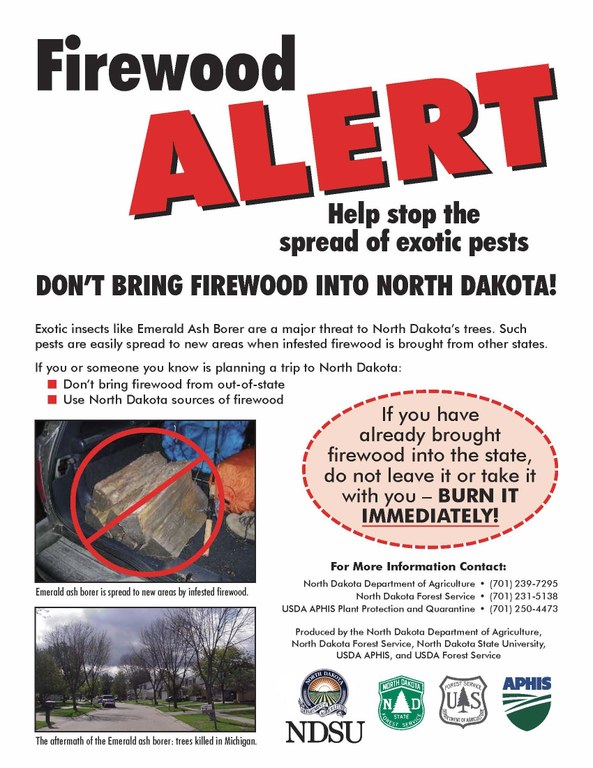 Firewood Alert - flier developed by ND Forest Service.  Urging all campers and others, "Don't move firewood", and "Burn it where you buy it."