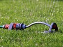 Lawns require irrigation to stay green in summer.