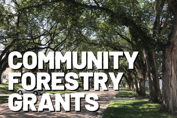 Community Forestry Grants