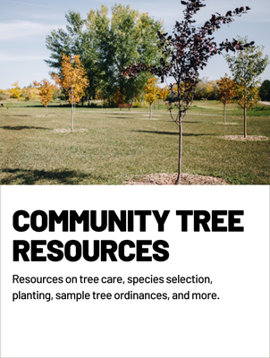 Community Tree Resource