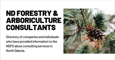 ND Arboriculture Consultants