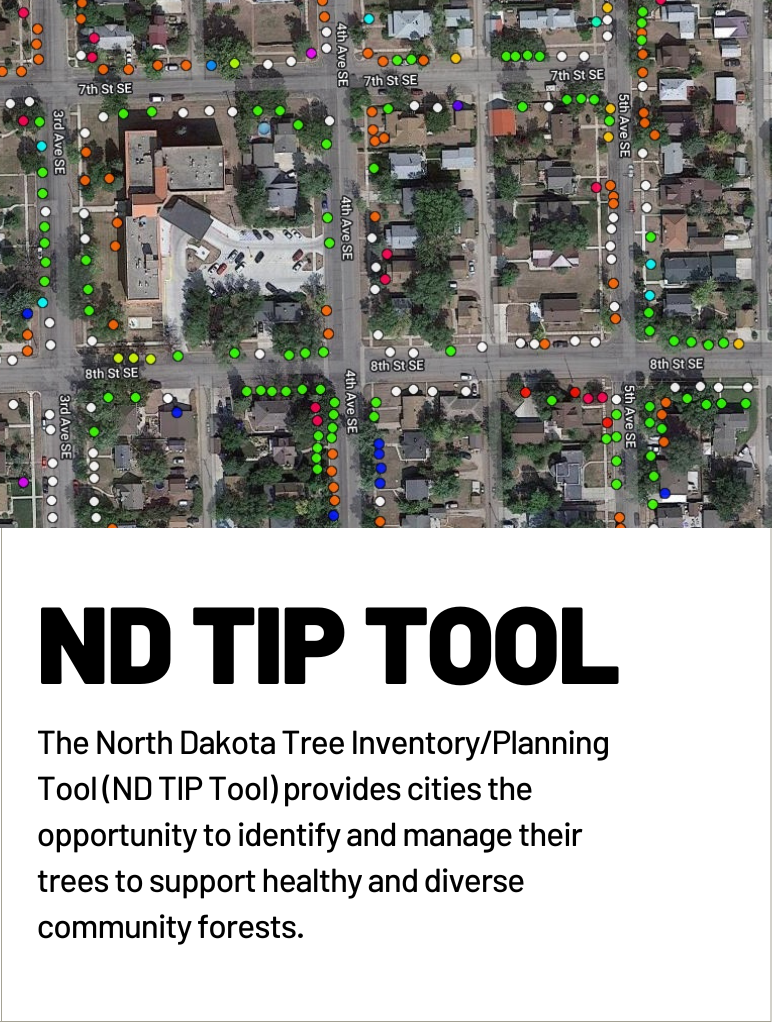 ND TIP Tool