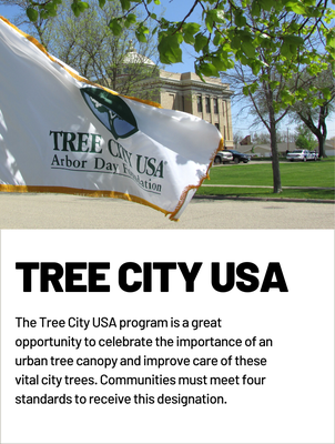 Tree City USA