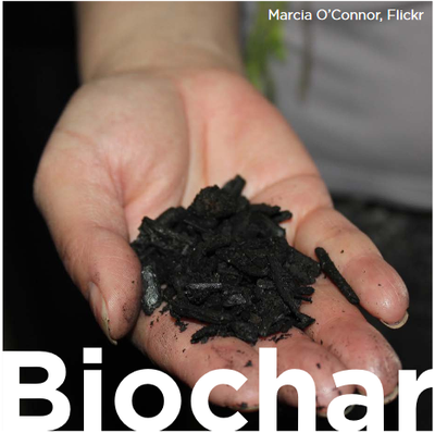 biochar