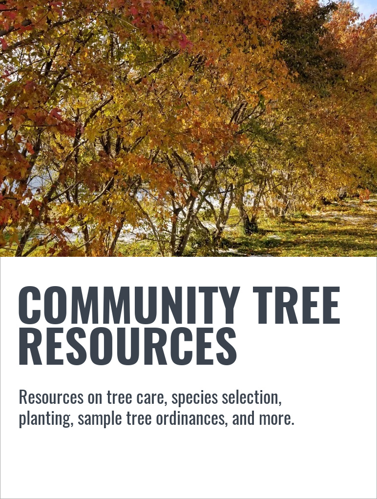 COMMUNITY TREE RESOURCES