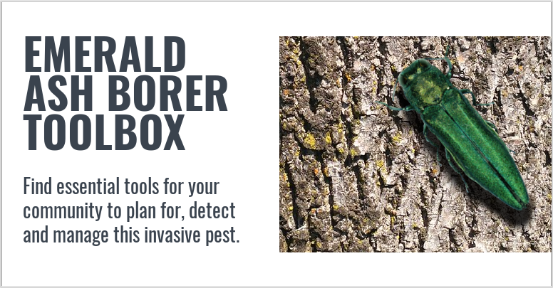 EAB Tool Box