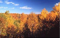 FallcolorND