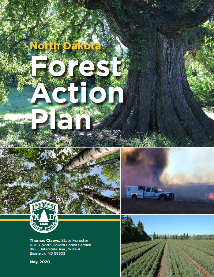 Forest Action Plan