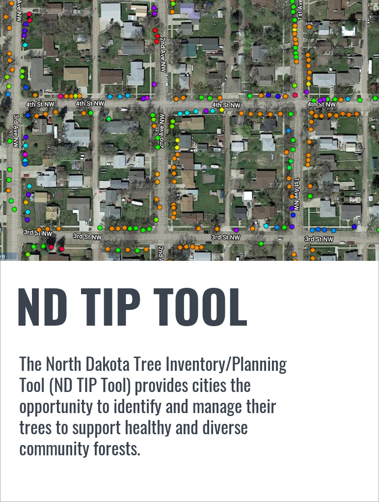 ND TIP Tool(1)