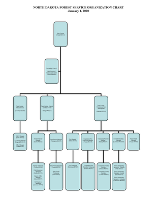 NDFS Org Chart 1 1 20