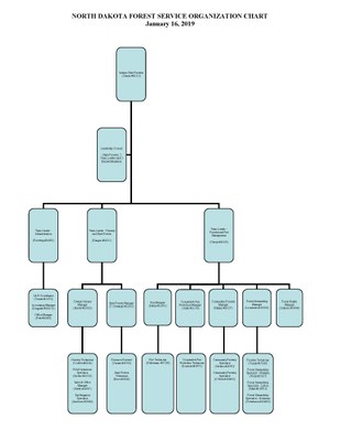 NDFS Org Chart 1-16-19