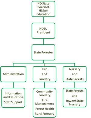 Org Structure