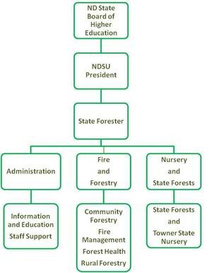 Org Structure