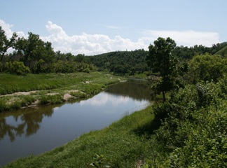 Riparian Stream