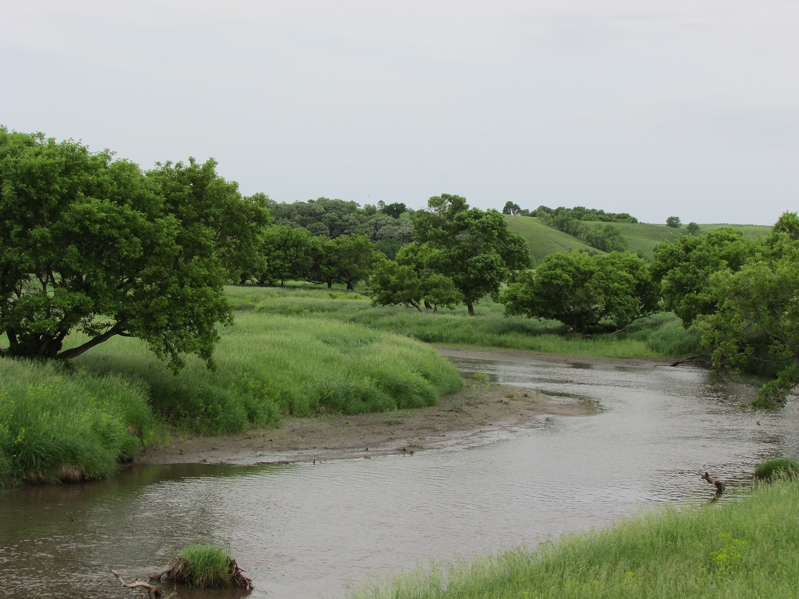 Sheyenne Hills