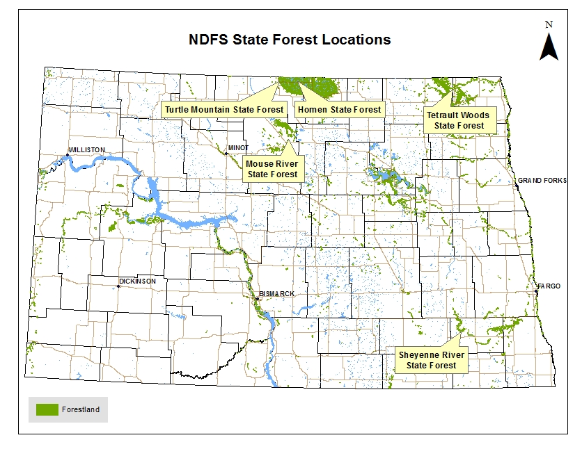 State Forest Locations