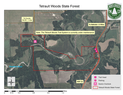 Tetrault overview