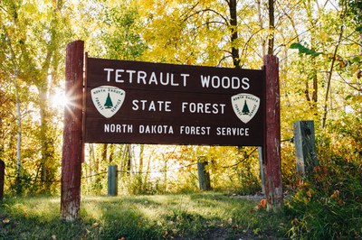Tetrault Woods 1