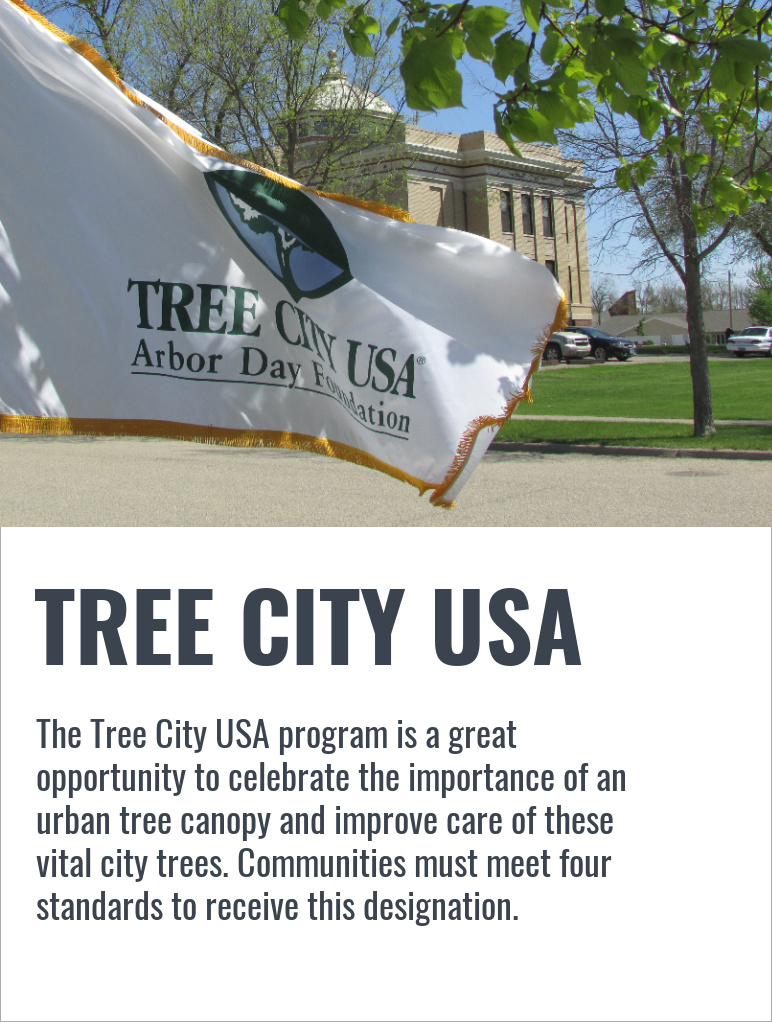 tree city usa graphic (2)