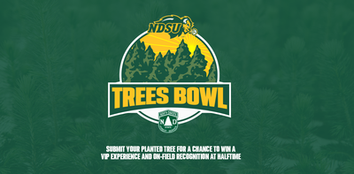 Trees Bowl Sweepstakes Wide