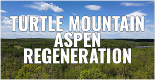 TURTLE MTN ASPEN BUTTON