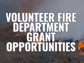 vfd GRANTS 4