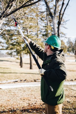 ATB PD pruning