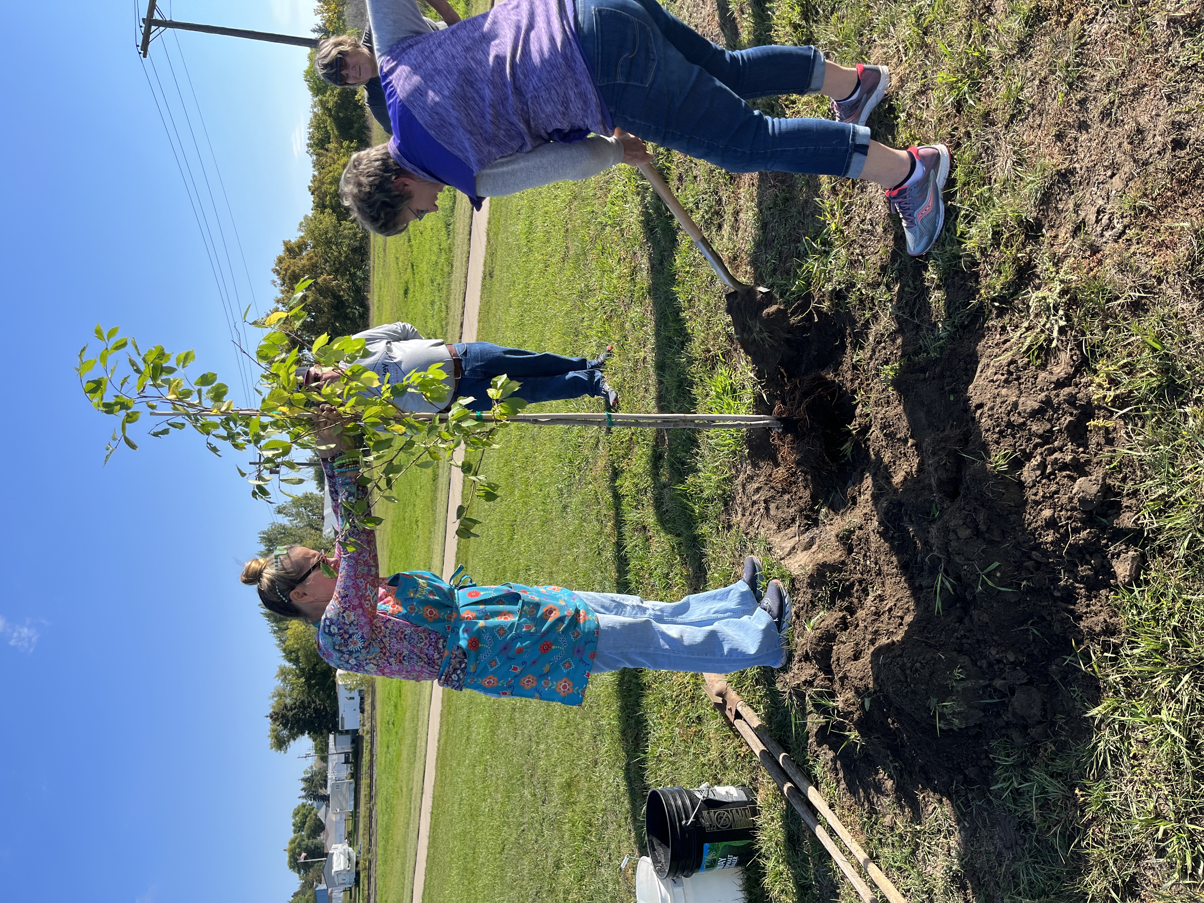 CFF Tree Planting