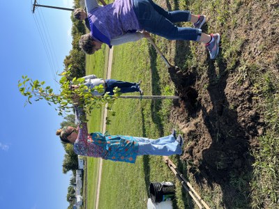 CFF Tree Planting