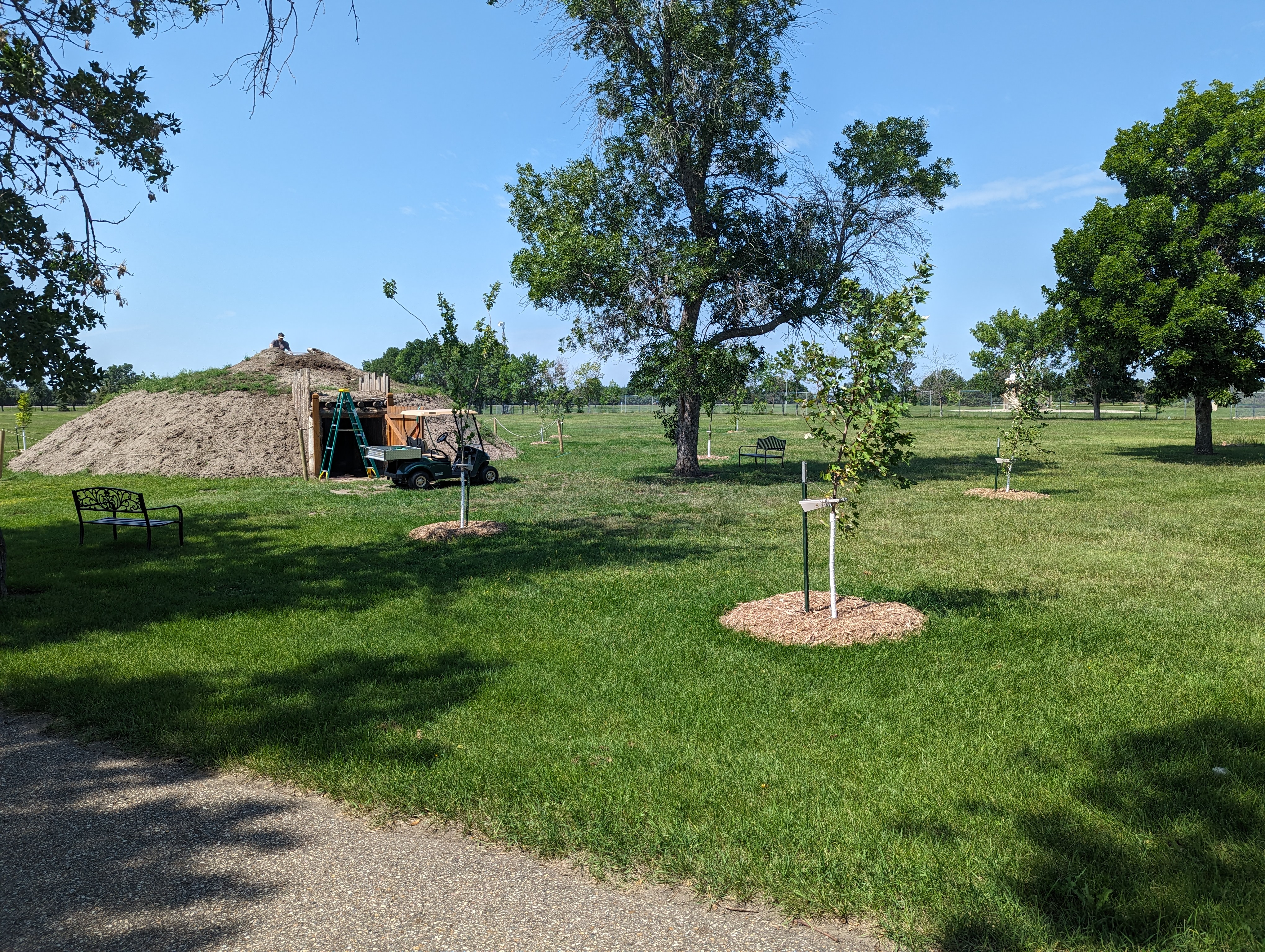 IRA tree planting