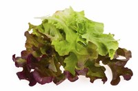 Plant an "Eye-Healthy" Salad Garden