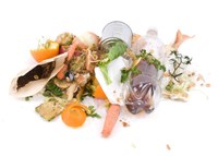 Food Loss and Waste in the US: The Science Behind the Supply Chain