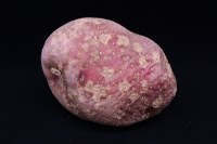 Understanding and Managing Blemish Problems in Fresh Market Potato 
