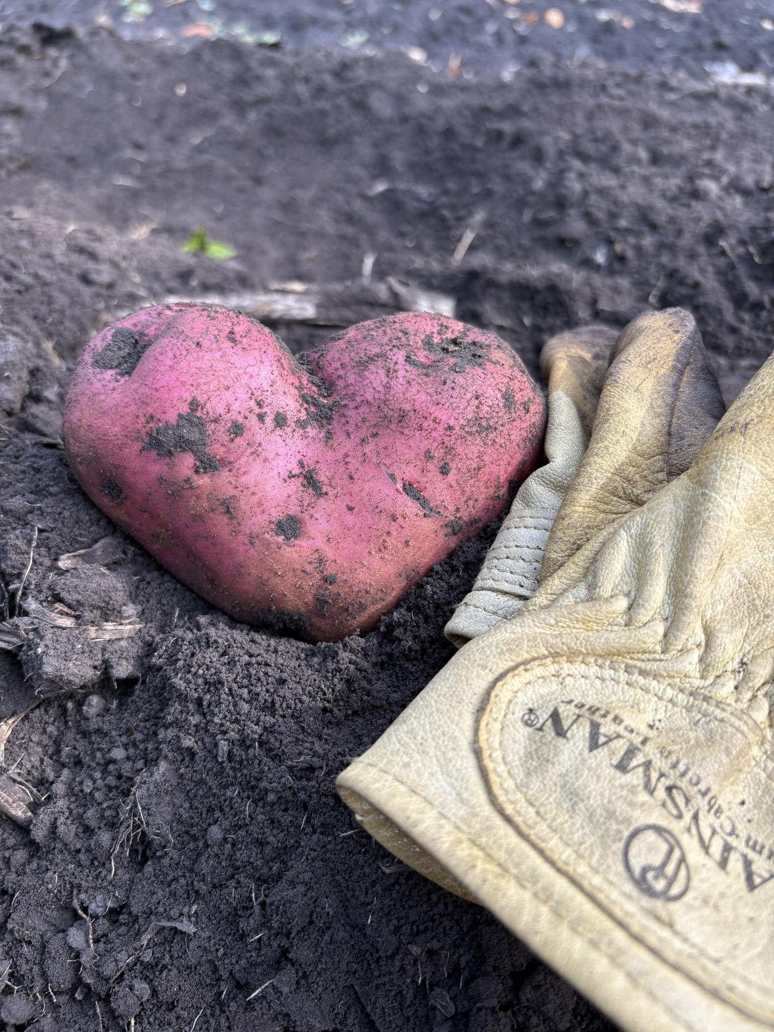 Gardens connect us with nature, reducing our stress and providing a calm environment that allows our attention to wander and our curiosity to grow. (NDSU photo)