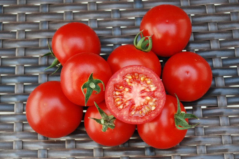 New varieties such as BadaBing! will change tomato production in the Dakotas. (photo by All-America Selections)
