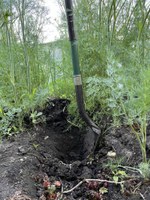 Composting reduces waste and allows us to return nutrients to the soil that can be used again in the growing cycle. (NDSU photo)