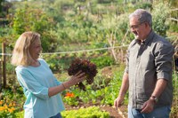 Chatting with fellow gardeners is often an opportunity to learn what is working for them, share recommendations and connect over a shared interest. (Pexels photo)