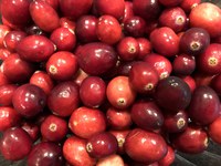 Cranberries, one of the few fruits that are native to the United States, are grown primarily in Wisconsin, Massachusetts, Oregon and New Jersey. (NDSU photo)