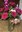 With Valentine's day right around the corner, Carrie Knutson, NDSU Extension horticulture agent, offers some tips to get the most out of your fresh flower purchase. (NDSU photo)