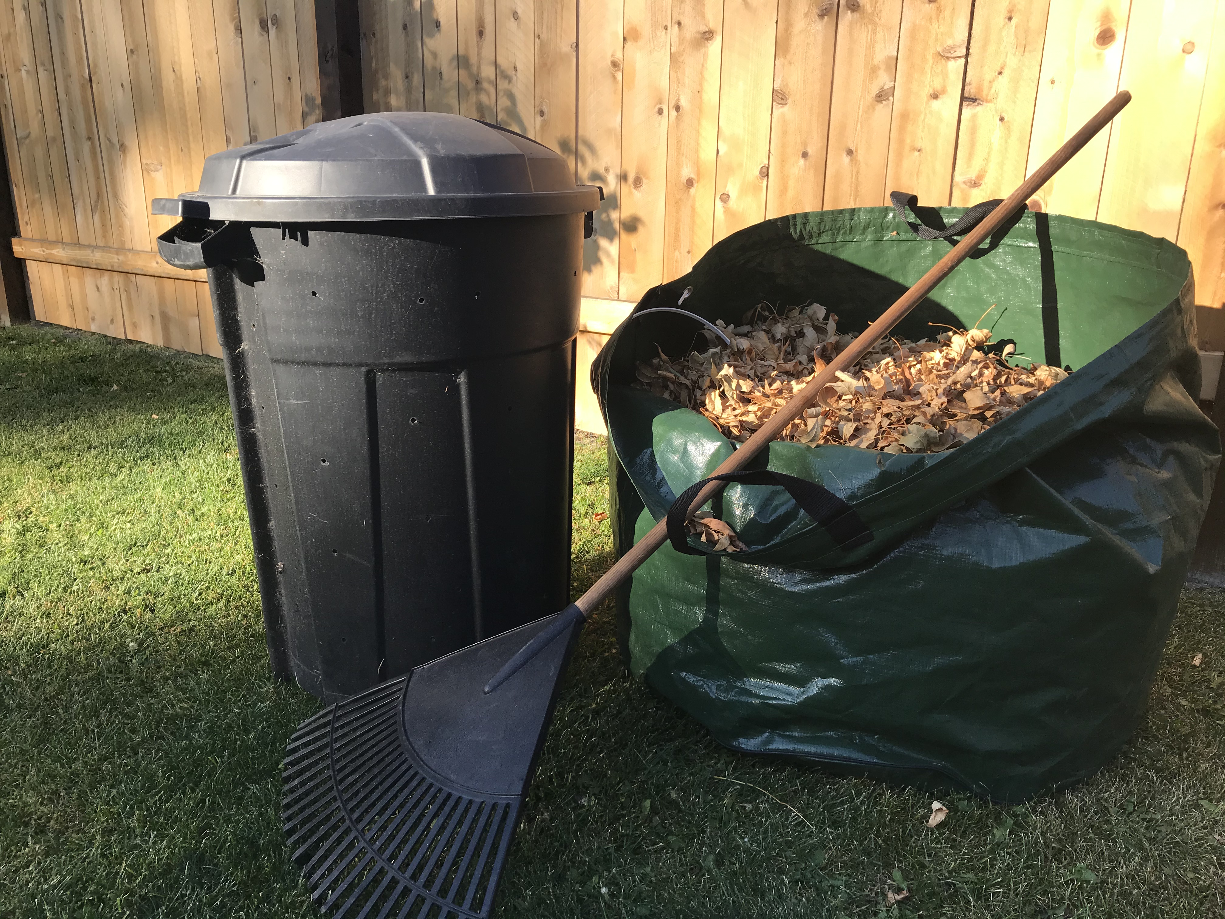 You can layer dead, dry leaves with your kitchen scraps to compost during the winter. (NDSU photo)