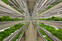 This vertical farm in Finland produces hydroponic greens and herbs. (Photo courtesy of https://commons.wikimedia.org/wiki/File:IFarm.fi_Vertical_farm_Finland.jpg)