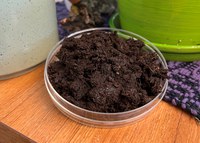 Peat moss is used as a soil amendment because of its water holding capacity, and at the same time, it promotes water drainage. (NDSU photo)