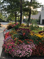 Time spent in green spaces and gardens can reduce anxiety and stress. (NDSU photo)