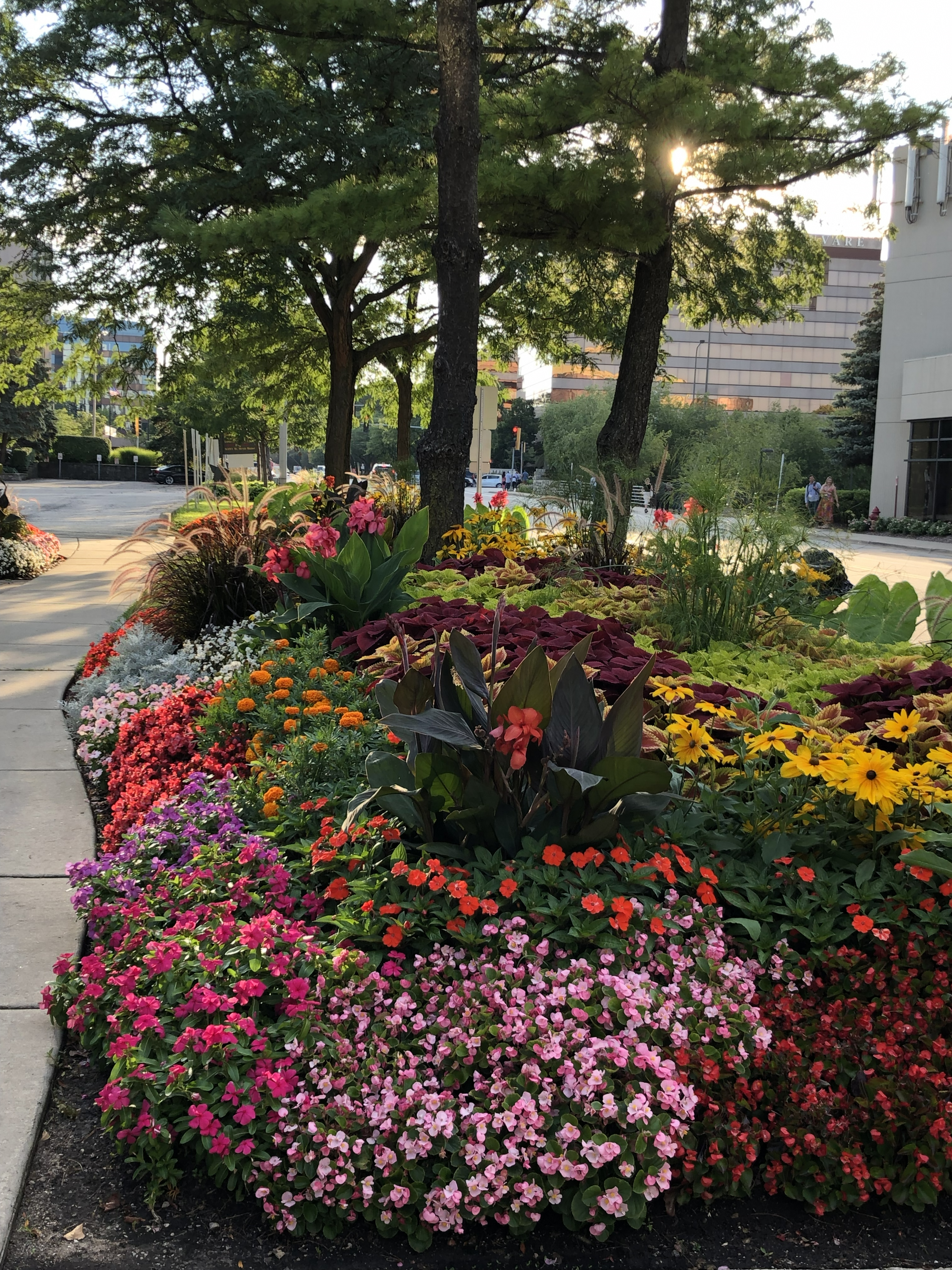 Time spent in green spaces and gardens can reduce anxiety and stress. (NDSU photo)