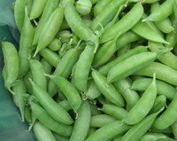Sugar Ann is the top variety of snap peas. (Photo: www.flickr.com/photos/yoursecretadmiral/4707352649/)