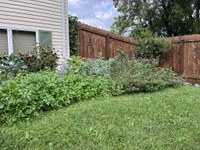 There are some good reasons to leave plant debris in your landscape over winter including providing habitat for pollinators and wildlife, and improving soil health. (NDSU photo)