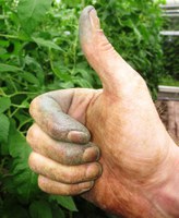 There are many ways for gardeners to keep their green thumbs busy while they wait for spring. (Pixabay photo)