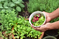 By implementing cost-saving strategies, you can create a high-production home garden without breaking the bank. (Unsplash photo)